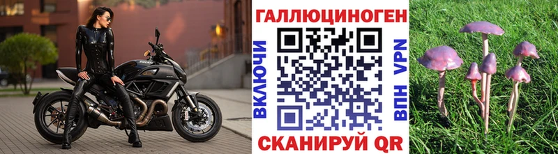 Галлюциногенные грибы мухоморы магазин Завитинск